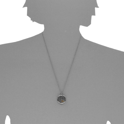 Kette mit Anhänger (23 mm), Edelstahl, Windflüchter, 41 - 46 cm verstellbar, Bernstein Kette mit Anhänger (23 mm), Edelstahl, Windflüchter, 41 - 46 cm verstellbar, Bernstein