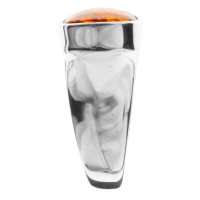 4250054204213-PT02 Ring Silber 925/000, Bernstein -Größe wählbar-